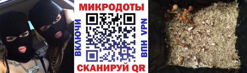 Галлюциногенные грибы мухоморы  Купить где  Норильск 